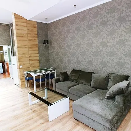 One Bedroom. 6 Zankovetskoi St. Near A Khreschatyk *
